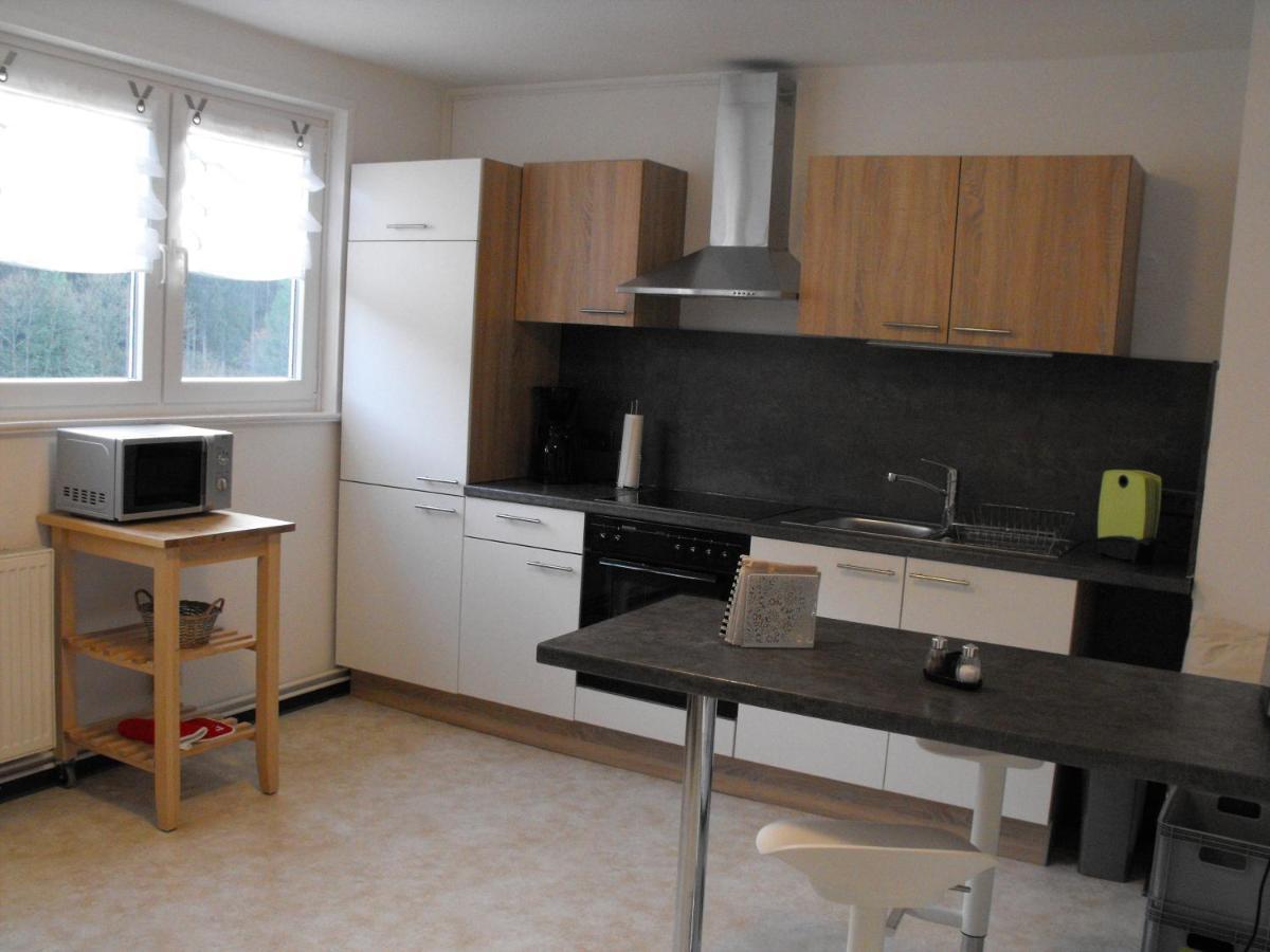 Ferienwohnung Sonnenhuegel Wildemann Eksteriør billede