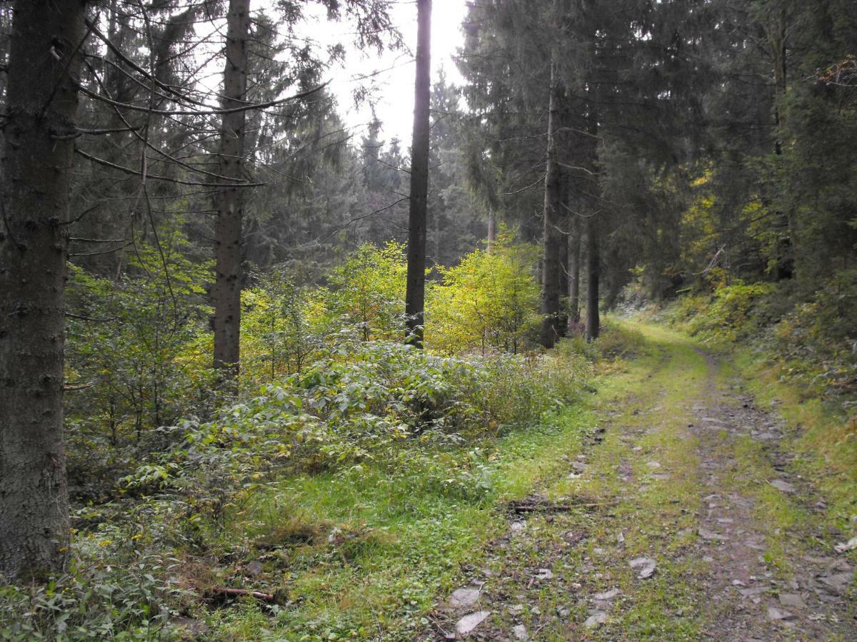 Ferienwohnung Sonnenhuegel Wildemann Eksteriør billede